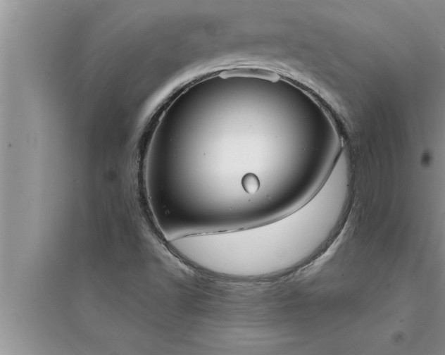 X0000095521502200712211251