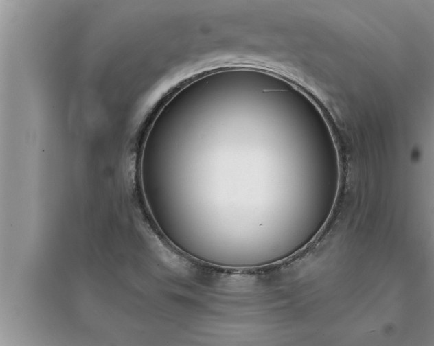 X0000095521503200712211251