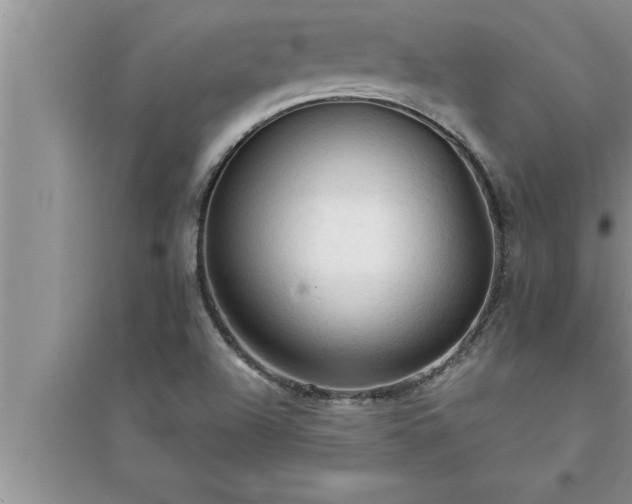 X0000095521504200712211251