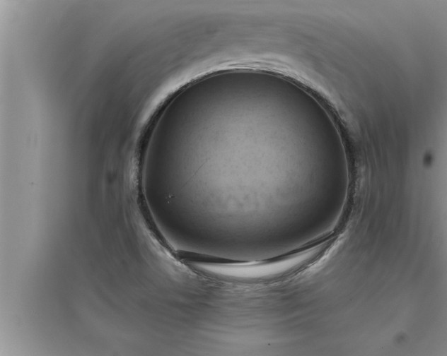 X0000095521506200712211251