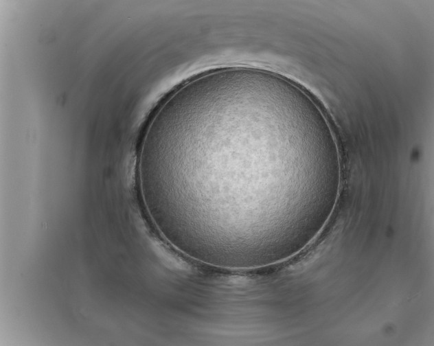 X0000095521507200712211251