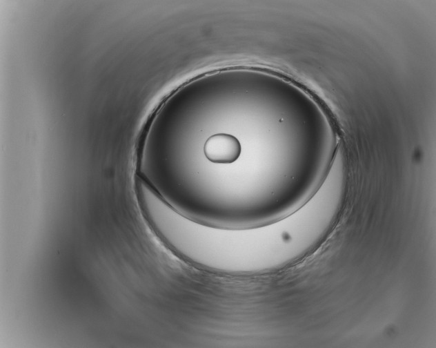 X0000095521508200712211251