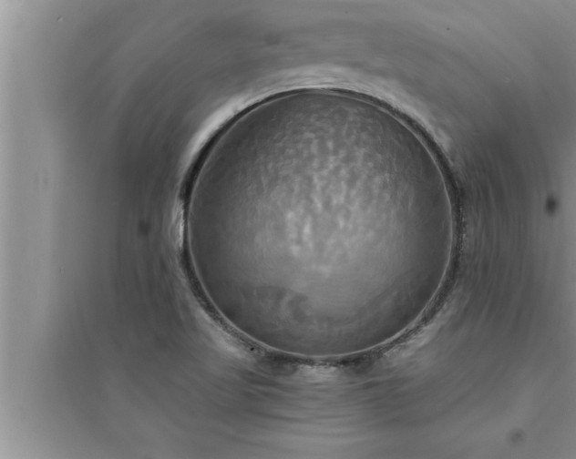 X0000095521509200712211251