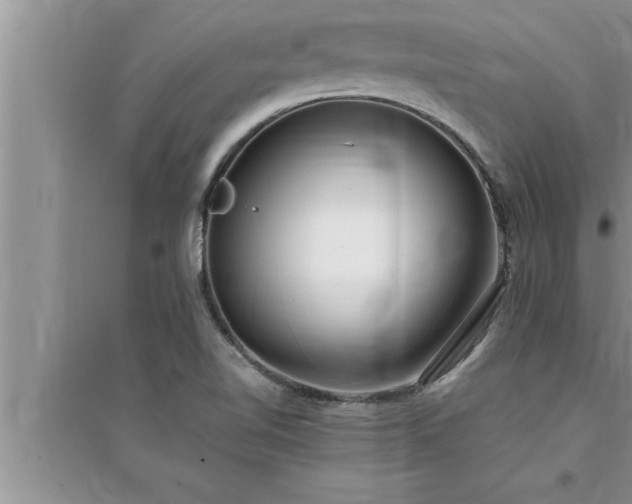 X0000095521510200712211251