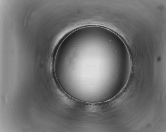 X0000095521511200712211251