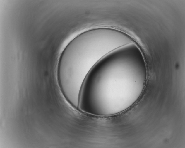 X0000095521512200712211251