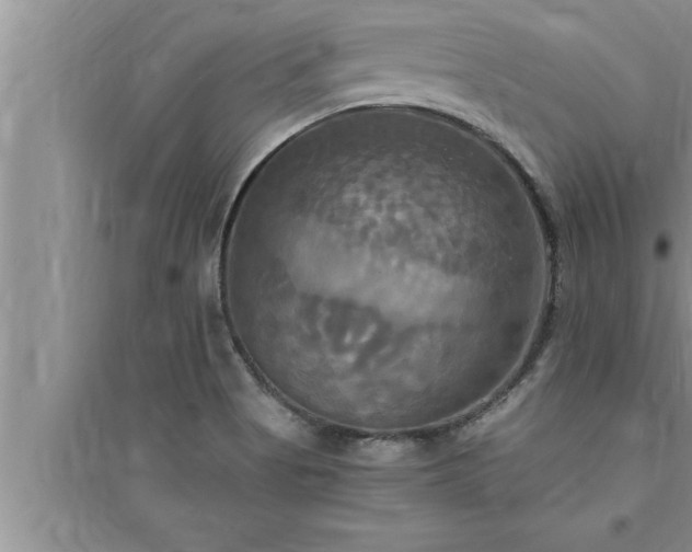 X0000095521513200712211251