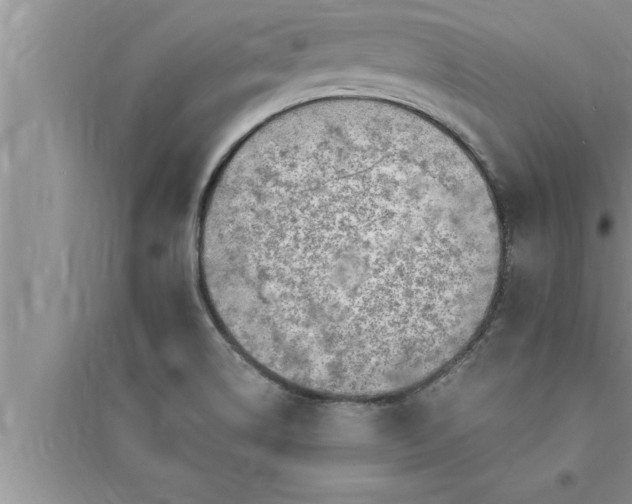 X0000095521514200712211251