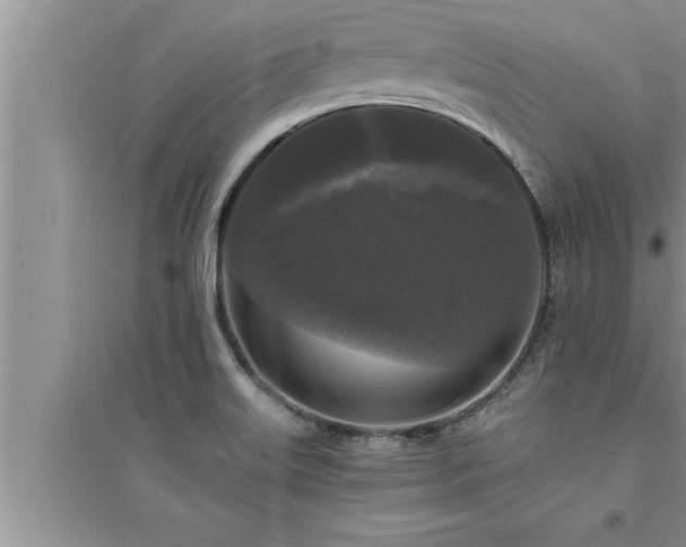 X0000095521515200712211251