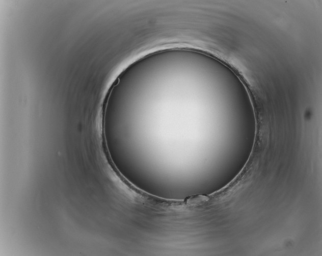 X0000095521516200712211251