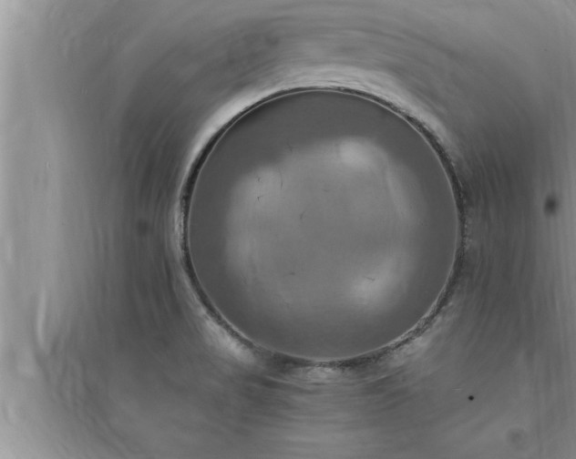 X0000095521517200712211251