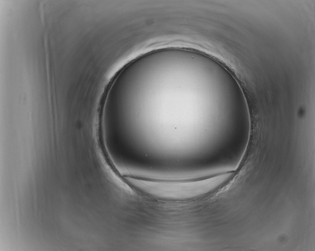 X0000095521518200712211251