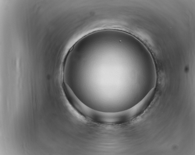 X0000095521520200712211251