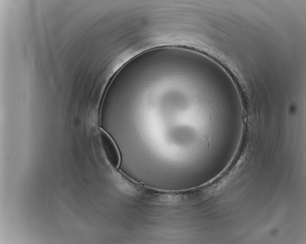 X0000095521521200712211251