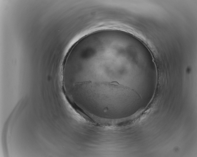 X0000095521522200712211251