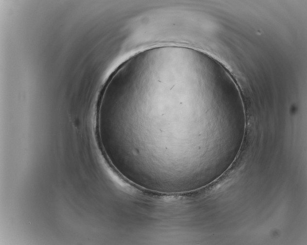 X0000095521523200712211251