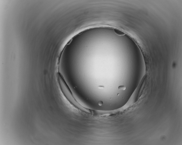 X0000095521524200712211251