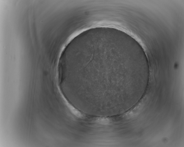 X0000095521525200712211251