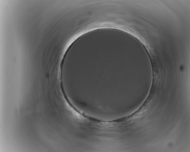 X0000095521527200712211251