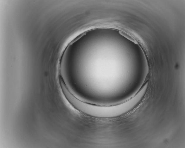 X0000095521528200712211251