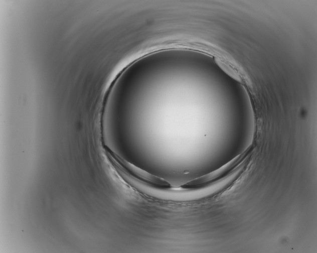 X0000095521530200712211251