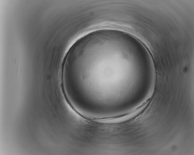 X0000095521531200712211251