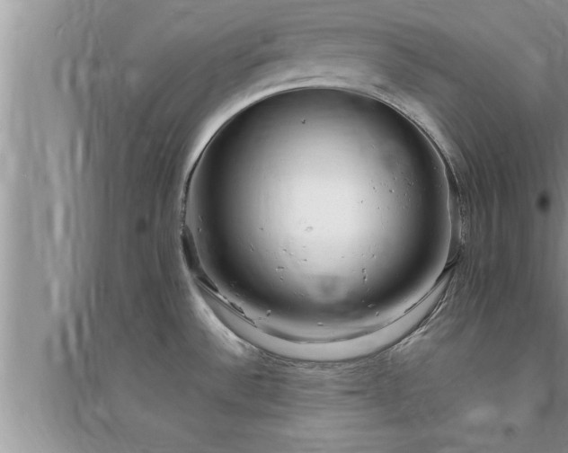 X0000095521532200712211251