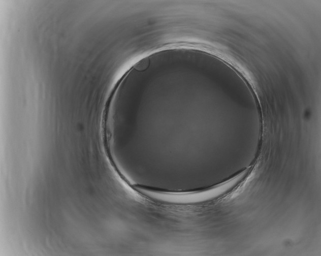 X0000095521533200712211251