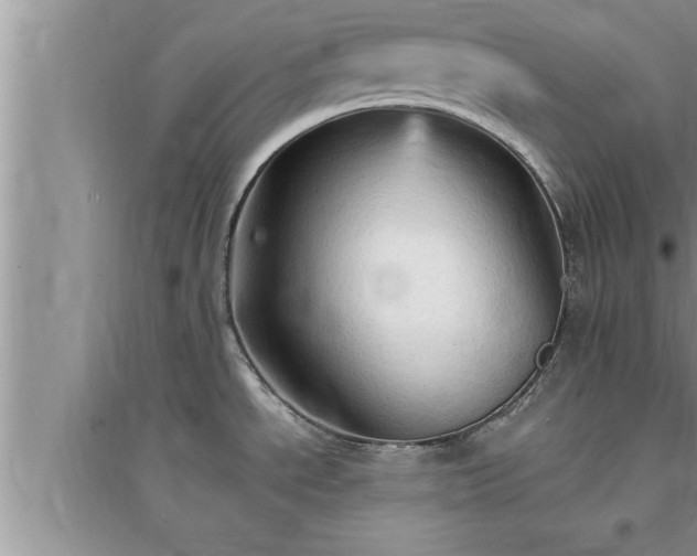 X0000095521534200712211251