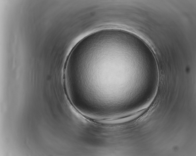 X0000095521535200712211251