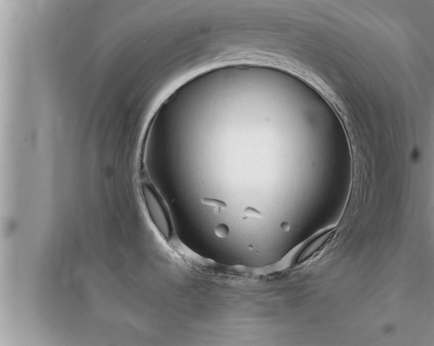 X0000095521536200712211251