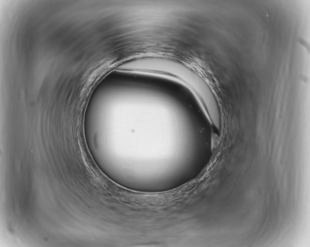 X0000095520001200712281510