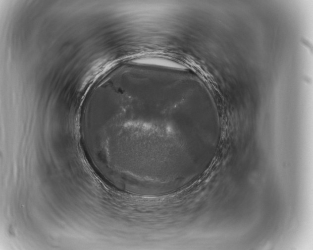 X0000095520002200712281510