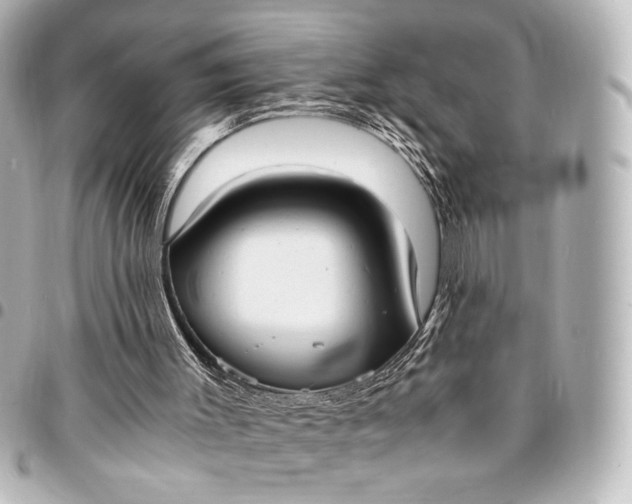 X0000095520003200712281510