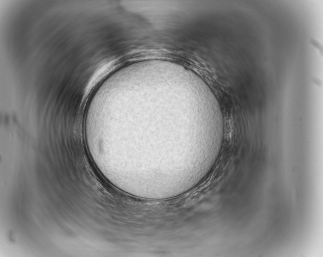 X0000095520004200712281510