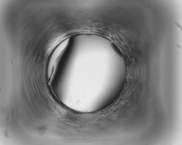 X0000095520005200712281510