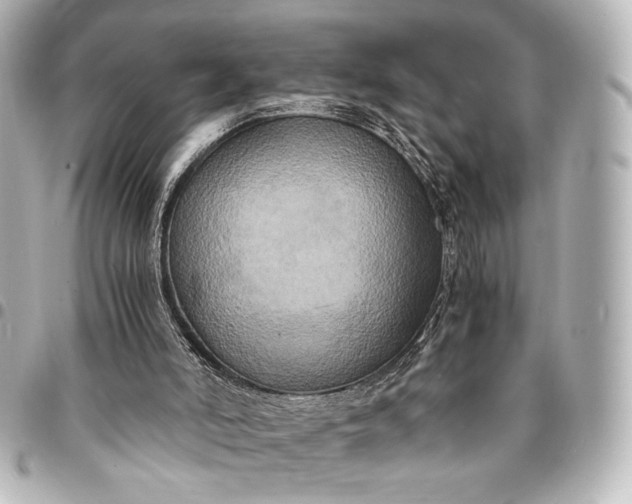 X0000095520006200712281510