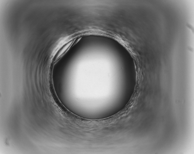 X0000095520007200712281510