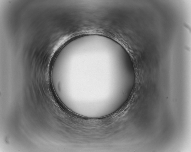 X0000095520008200712281510