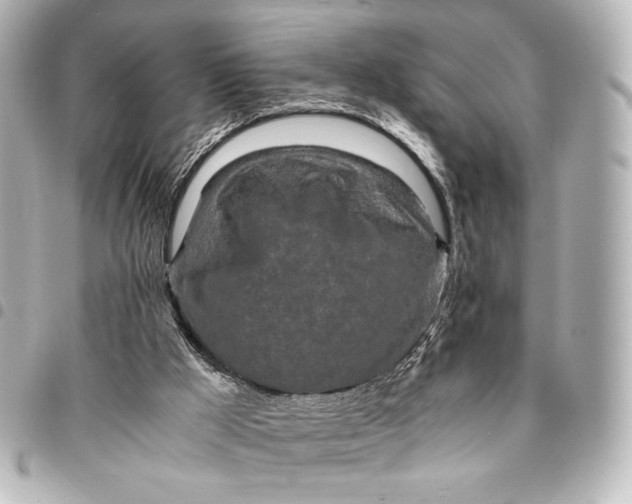 X0000095520009200712281510