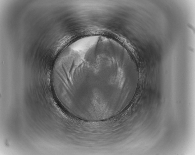 X0000095520010200712281510