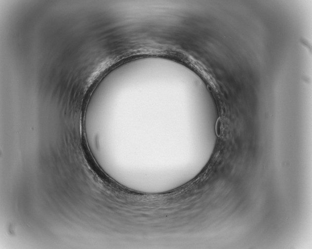 X0000095520011200712281510