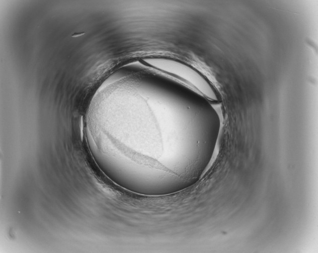 X0000095520013200712281510