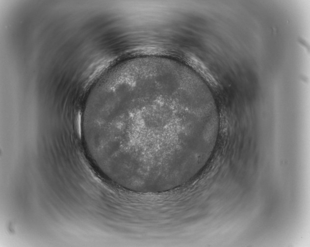 X0000095520014200712281510