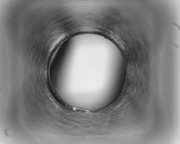 X0000095520015200712281510