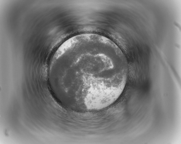 X0000095520016200712281510