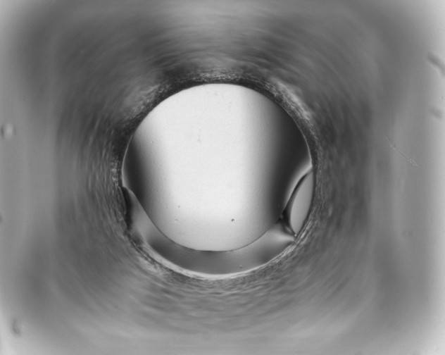 X0000095520017200712281510