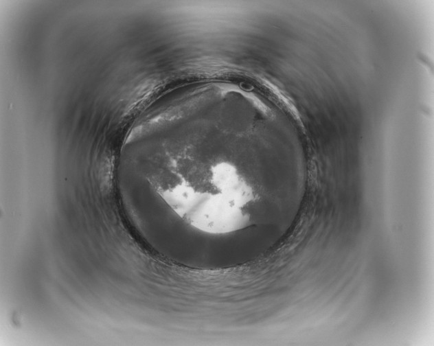 X0000095520018200712281510