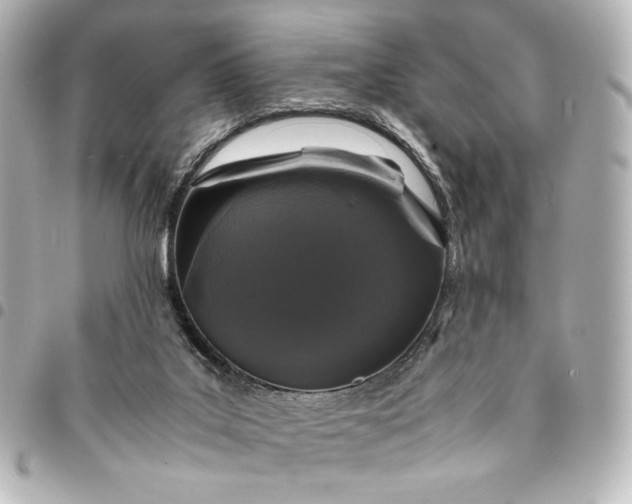 X0000095520019200712281510