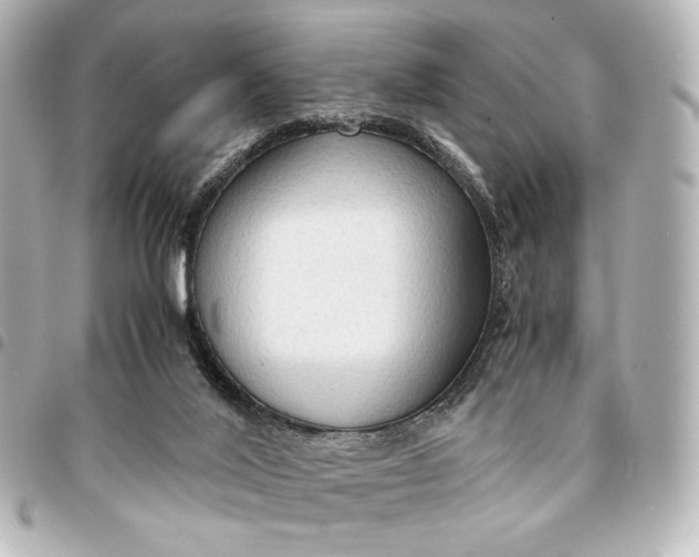 X0000095520020200712281510